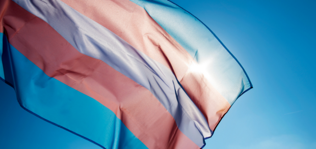 Transgender flag blowing in wind